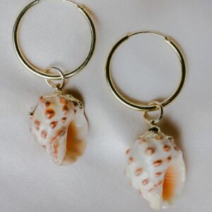 Sea shell earrings